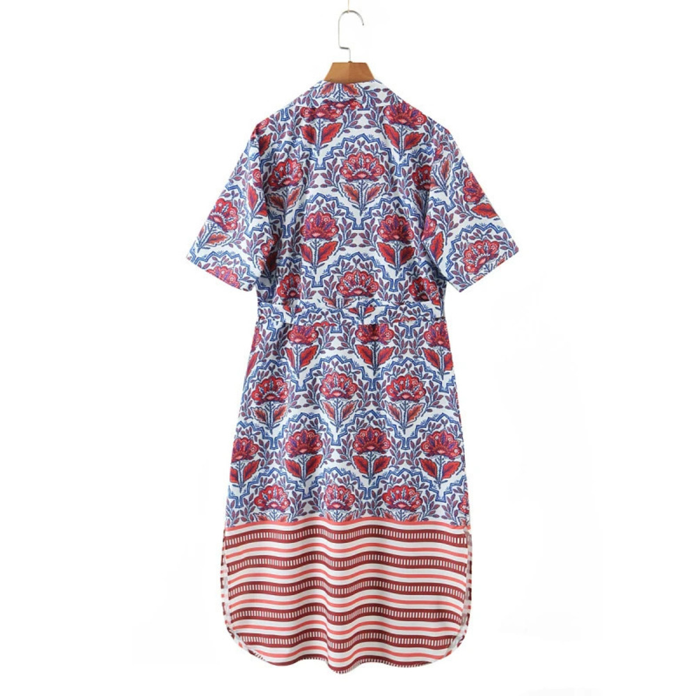 Womens Spring Printed Dress